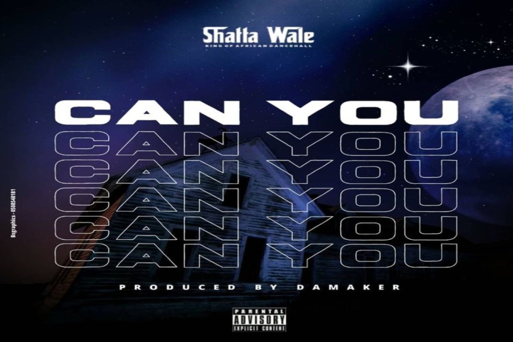 shatta-wale-–-can-you
