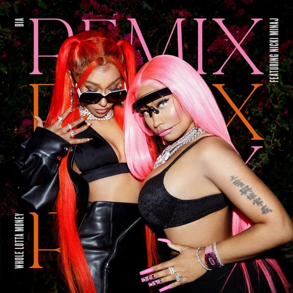 biawholelottamoneynickiminajsong
