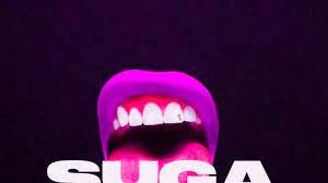 Megan-Thee-Stallion-The-Chopstars-Crying-In-The-Car-chopnotslop-Remix-1.jpg