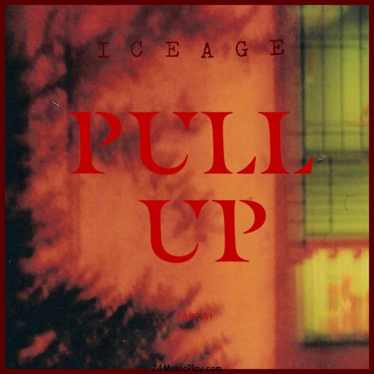 Iceage-Pull-Up-1.jpg