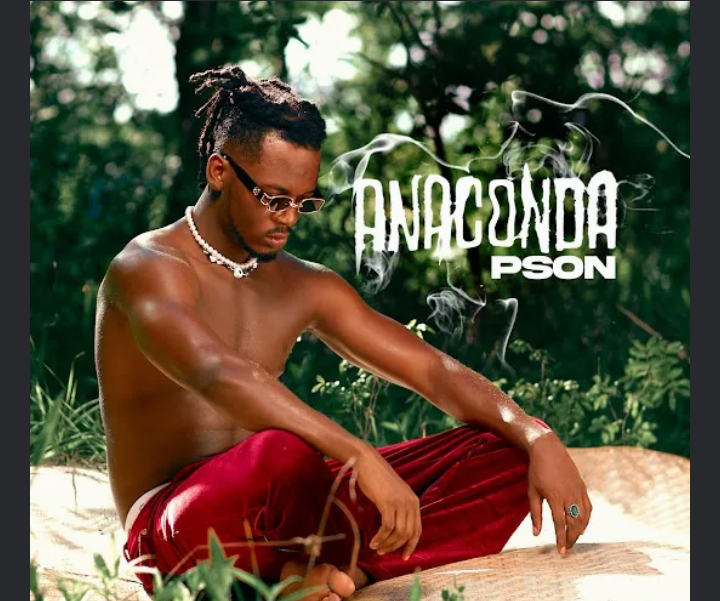 ALBUM-Pson-Anaconda-1.png