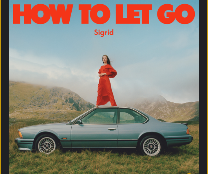 ALBUM-Sigrid-How-to-Let-Go-1.png