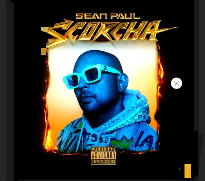 Sean-Paul-Dynamite-Ft-Sia-1.jpg