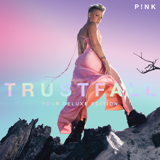 P-NK-Hate-Me-1.jpg