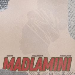 Dooushii-Scotts-Maphuma-Madlamini-ft-Mellow-Sleazy-1.jpg