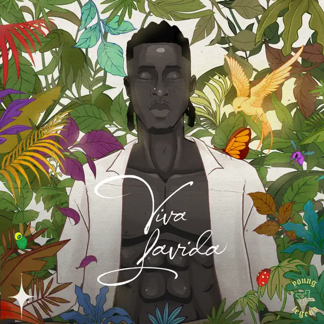 Joeboy-Viva-Lavida-1.jpg