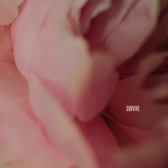 ab67616d0000b2735f5bd64a4a1c88f0610da5a6